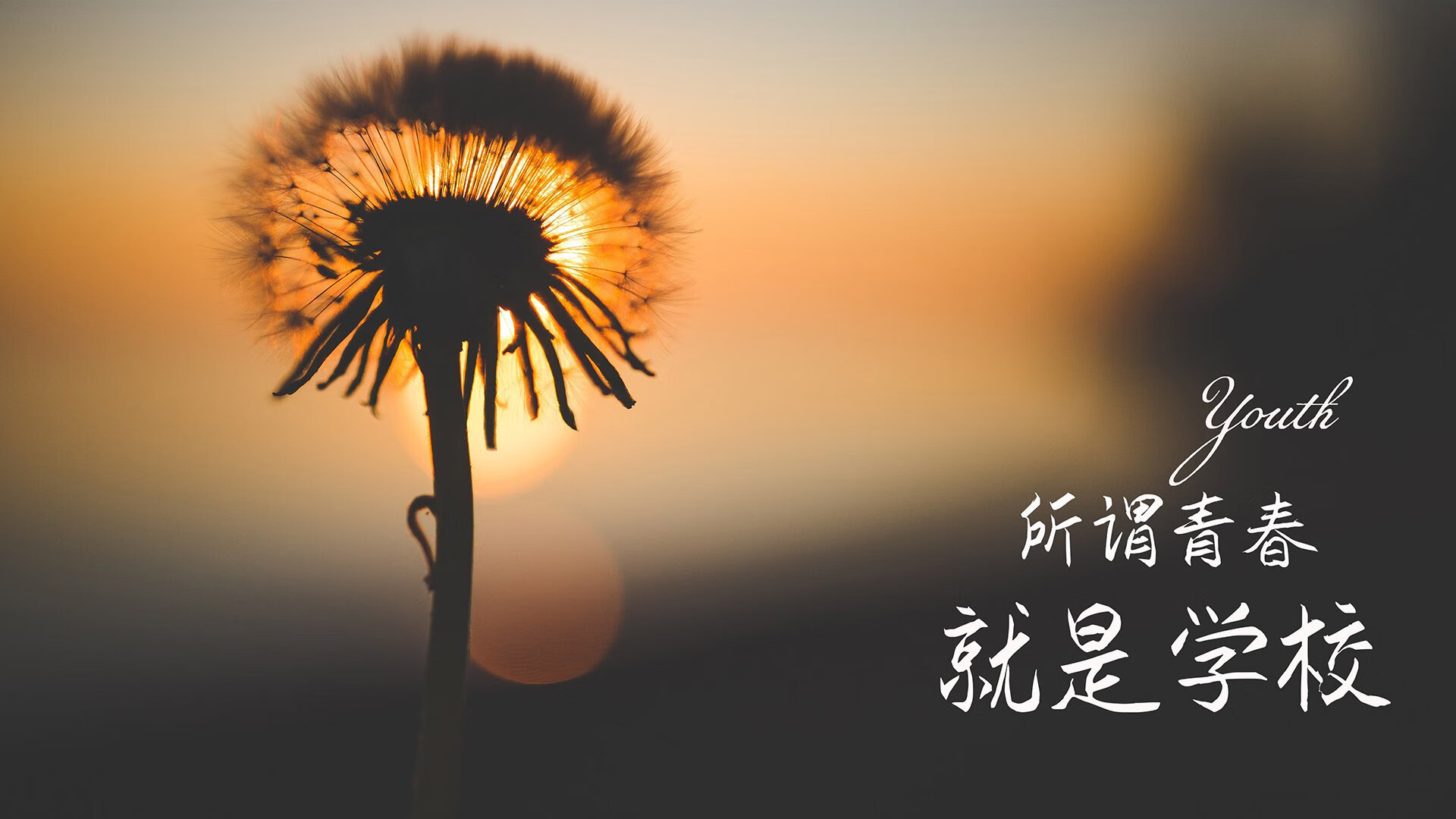 休闲零食包括哪些产品和服务呢（休闲零食大全名称列表）